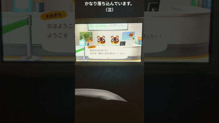 最悪…あつ森のセーブデータ抜けてた…
