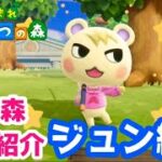 【あつ森】住民紹介ジュン編！