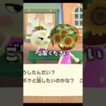 【あつ森】ジュンと白い恋人お祝いする！ #あつ森 #あつまれどうぶつの森 #ゲーム実況
