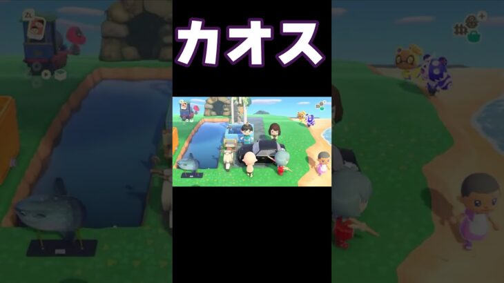カオス#ゲーム実況   #もっちー切り抜き #あつもり  #あつまれどうぶつの森  #あつ森 #おもしろ動画 #もちひろ #ゲーム  #実況 #ショート #夢の島