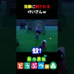 【あつ森】蚊を捕まえるのも難しいｗｗｗ