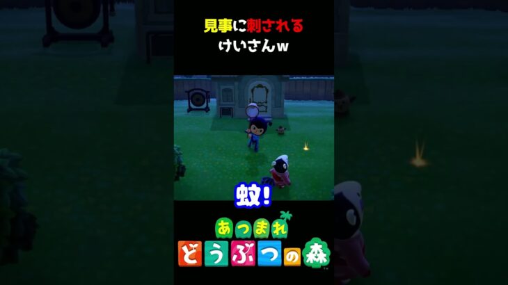 【あつ森】蚊を捕まえるのも難しいｗｗｗ