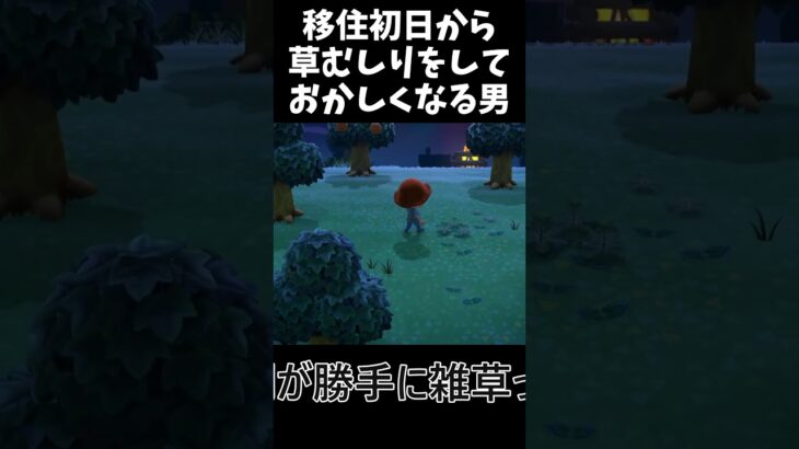 移住初日から草むしりに没頭した末路【あつ森】