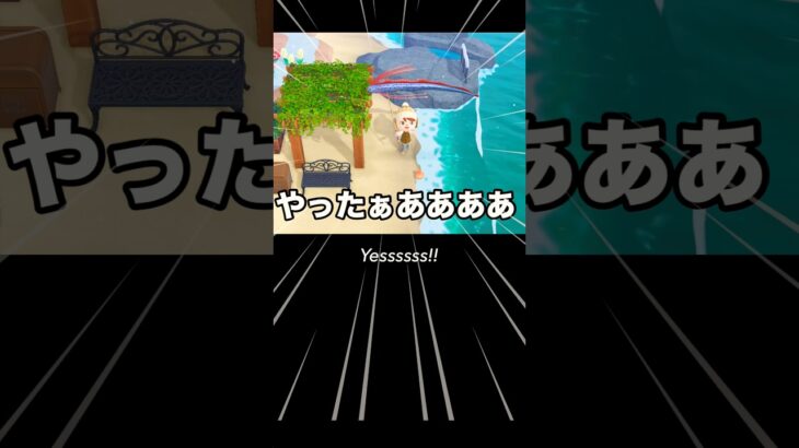 下手過ぎる釣りの結果【あつ森日常】