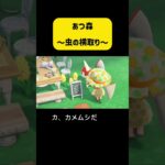 同時とは珍しい！ #あつ森