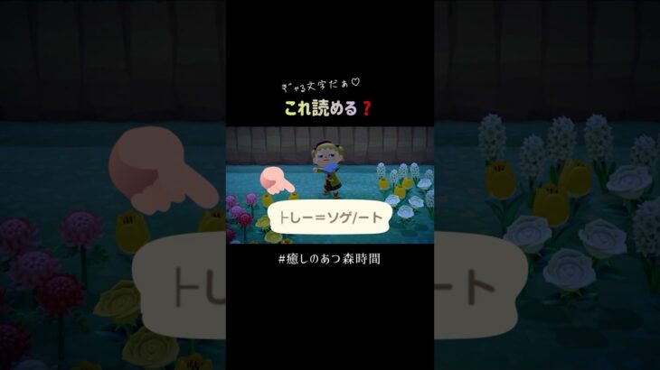 暗号解読｜あつ森おとしものシリーズ