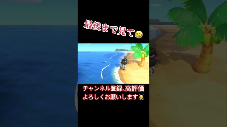 これがかっぱえびせん状態だ。#あつまれどうぶつの森 #あつ森 #どうぶつの森 #実況プレイ #ゲーム実況
