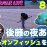 【後藤の夜あつ森】ナポレオンフィッシュを釣り上げます