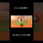【あつ森】ジュンの家を撃て！