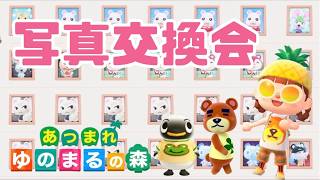 【あつ森】写真交換会