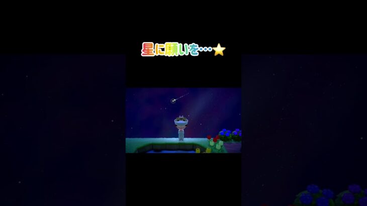 【あつ森】流星群の島に初めて行けた！おいのり…⭐️ #あつ森 #あつまれどうぶつの森