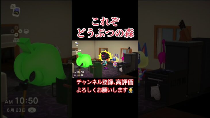 これぞどうぶつの森。#あつまれどうぶつの森 #あつ森 #どうぶつの森 #実況プレイ #ゲーム実況 #推し活