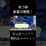 あつ森　歓喜の瞬間！#あつ森