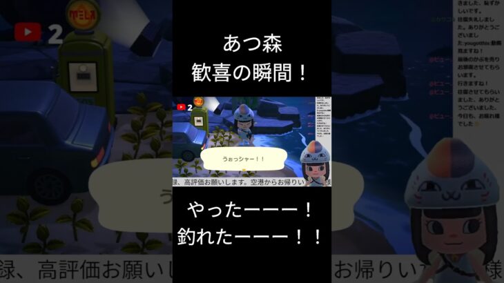 あつ森　歓喜の瞬間！#あつ森