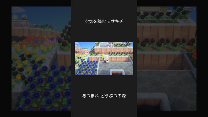 【あつ森】空気を読むモサキチ