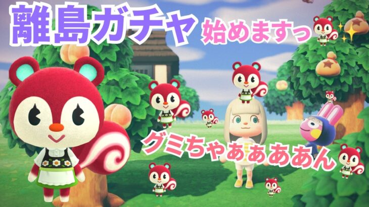 【あつ森】離島ガチャでびゅー🐿┊︎サーティーワンコラボ島観光もっ🍨🍎