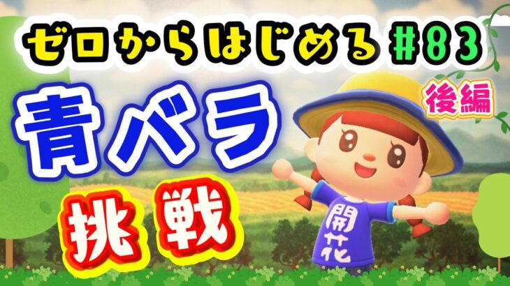 【あつ森★ゼロはじ】#８３  最難関といわれている青バラ交配に挑戦！後編【第４の島】