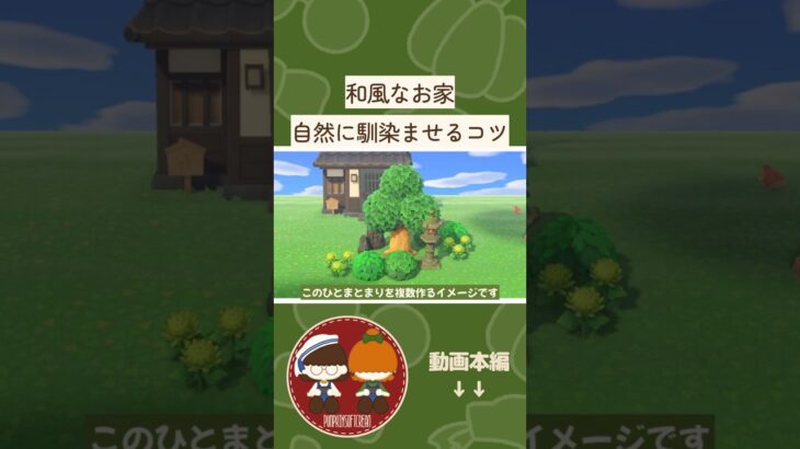 【島クリ】植物と家具を自然に馴染ませるコツ/和風なお家【あつ森】 #あつまれどうぶつの森 #あつ森