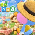 【あつ森】島クリ🏝️博物館周りをカッコよくさせてくださいなの巻  アッキーのまた〜り朝活配信！のんびり島生活🌿