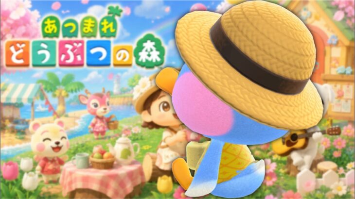 【あつ森】島クリ🏝️博物館周りをカッコよくさせてくださいなの巻  アッキーのまた〜り朝活配信！のんびり島生活🌿