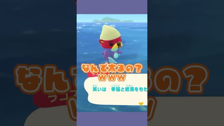痩せたきゃ笑うなってこと！？！？ #あつ森  #あつまれどうぶつの森  #女性ゲーム実況