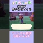 あつ森で住民が怖がらせてくる！ｗ【あつまれどうぶつの森】#あつ森 #あつまれどうぶつの森