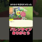 カタカナ今日もダメだったｗ #あつ森 #ききゆん 【嬉々桜ゆん】#あつまれどうぶつの森 #ゲーム実況