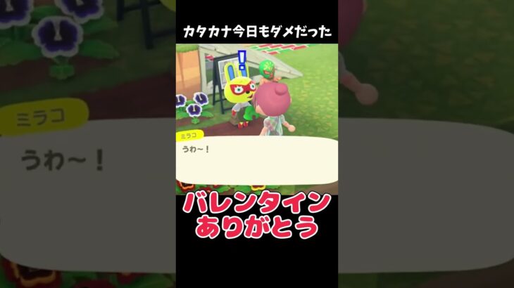 カタカナ今日もダメだったｗ #あつ森 #ききゆん 【嬉々桜ゆん】#あつまれどうぶつの森 #ゲーム実況