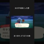 【あつ森】女の子を盾にした罰