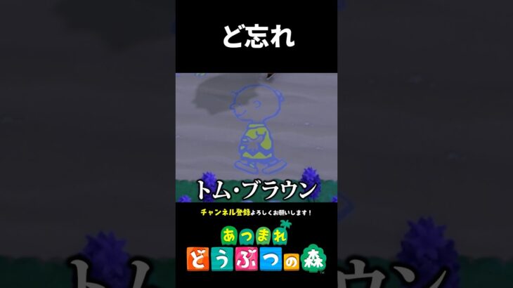 【あつ森】名前をど忘れしちゃった人