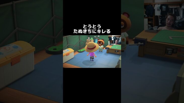 こーれはやってますわ #配信 #ゲーム実況 #あつ森 #どうぶつの森