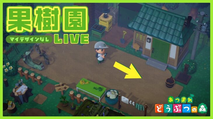 【あつ森】マイデザインなし島クリ第２弾🏝️ 果樹園づくり完成まで！！【島クリ雑談】