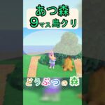 【あつ森９マス島クリ】簡単にネコと木陰で寝っ転がれる場所が作れる島クリ！【あつまれどうぶつの森】#あつ森 #あつまれどうぶつの森