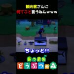 【あつ森】観光客さんに何てこと言うねんｗｗｗ
