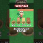 穴の掘れる道を知りたい！ 【あつ森】@ほのげ