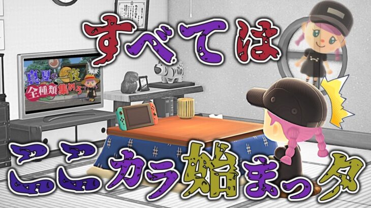 【あつ森】夏が来たってことは…リベンジするしかないだろ！【ゆっくり実況】【あつまれどうぶつの森】