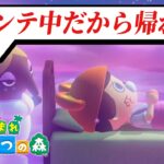 【検証】あつ森のネットワークメンテナンス中に夢見に行ったら追い返されるのか？