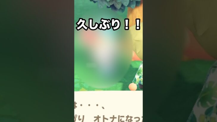 【あつ森】久しぶり！！あの元住民が遊びに来てた