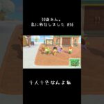 #あつまれどうぶつの森 #始まってるよ #あつ森 #あつ森ライフ #ゲーム #あつ森初心者 #あれんでーる島