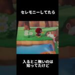 ピータン〜笑😆#どうぶつの森#あつ森
