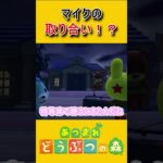 なんだか賑やかな夜【あつ森】 #あつ森 #あつまれどうぶつの森 #ゲーム実況