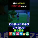 【あつ森】ちなみにこの子コノハムシですｗｗｗ