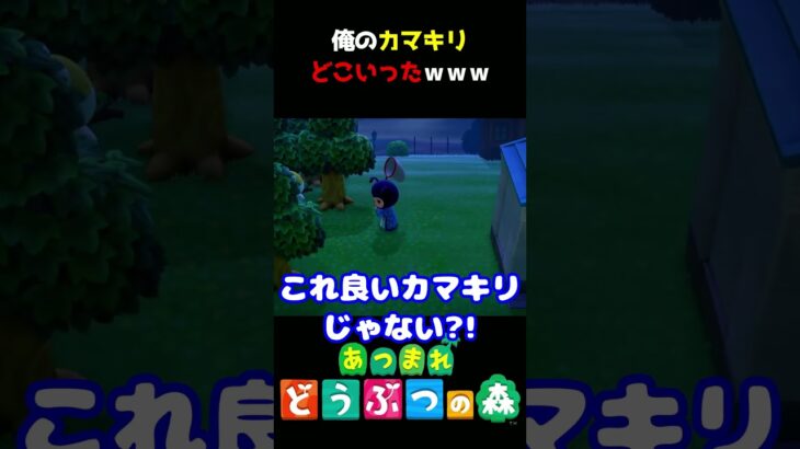 【あつ森】ちなみにこの子コノハムシですｗｗｗ