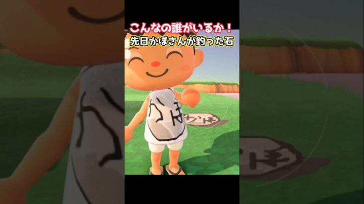 こんなの誰がいるか！先日かぼさんが釣った石#あつ森