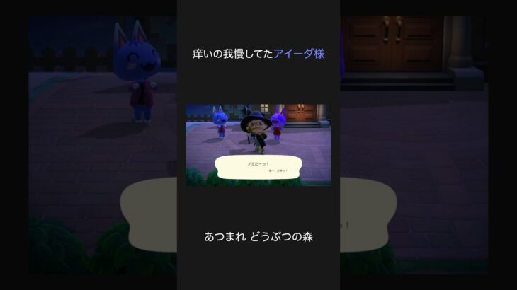 【あつ森】痒いの我慢してたアイーダ様