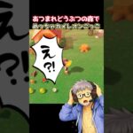 あつ森でめっちゃカメレオンごっこ#あつ森
