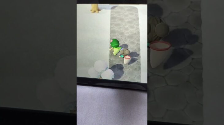 競歩ごっこしてたらフレンドさんがカクカクしてる#あつ森#あつまれどうぶつの森 #バグ