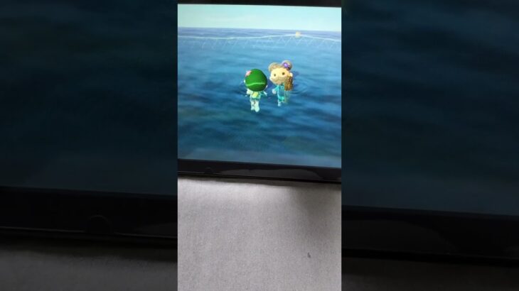 ヒーローなのかわかめ泥棒なのか#あつ森#あつまれどうぶつの森 #バグ