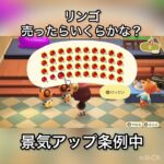 【あつ森　リンゴを大量に売ったらいくらかな？　　#vlog #あつ森 #あつまれどうぶつの森 #こはくちゃんねる2424   #毎日更新　毎日更新中　 金を稼ぐ】