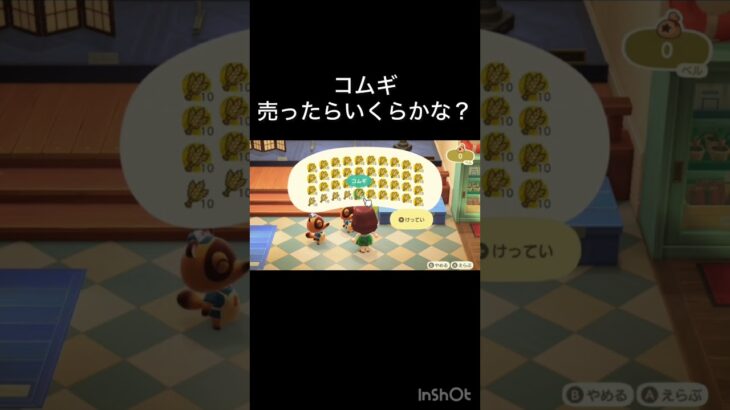 【あつ森】コムギ大量に売ったらいくらかな？　#vlog #あつ森 #あつまれどうぶつの森 #こはくちゃんねる2424   #毎日更新